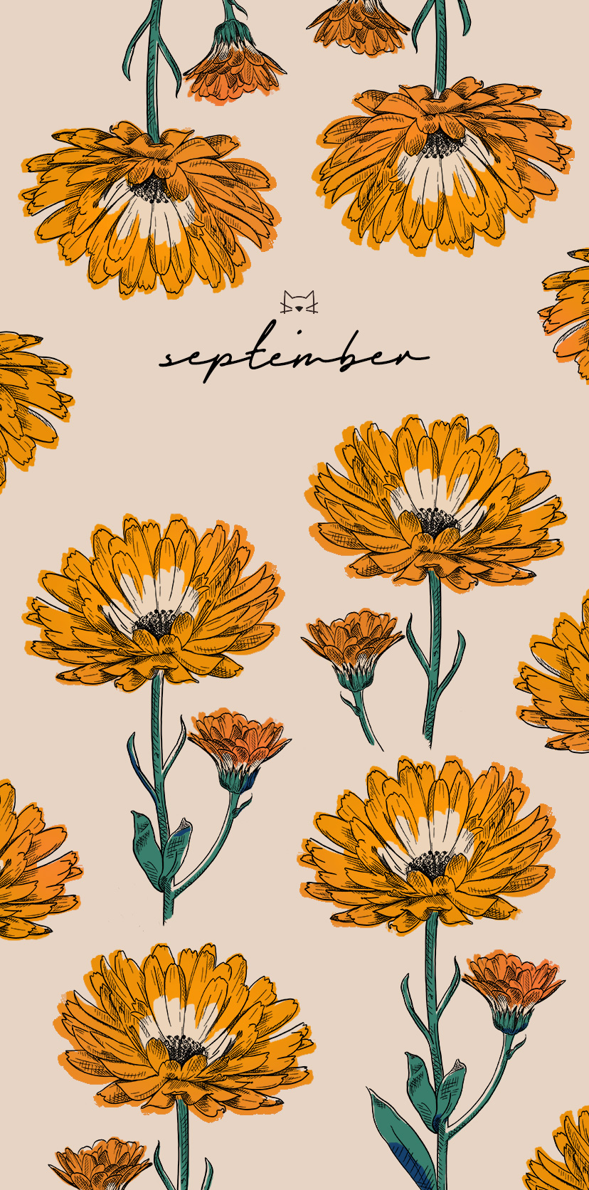 September-Wallpaper mit Ringelblumen