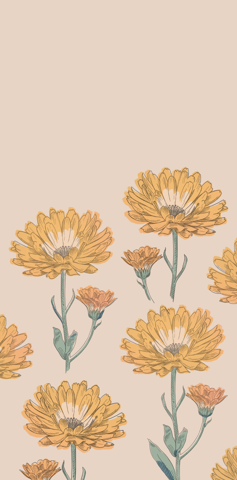 Ringelblumen-Wallpaper für den Startbildschirm